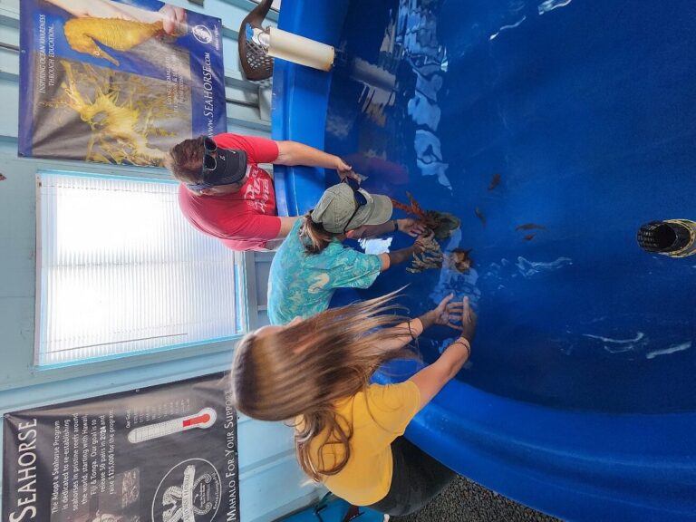 Ocean Rider Seahorse Farm