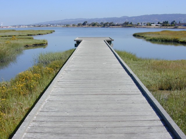 Martin Luther King Jr. Regional Shoreline