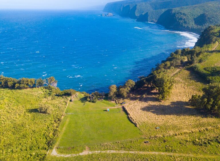 Hawaii Forest and Trail​