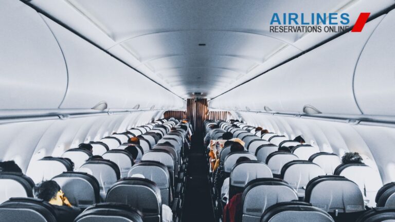 A Complete Guide to Choosing the Right Cabin Class on a Flight