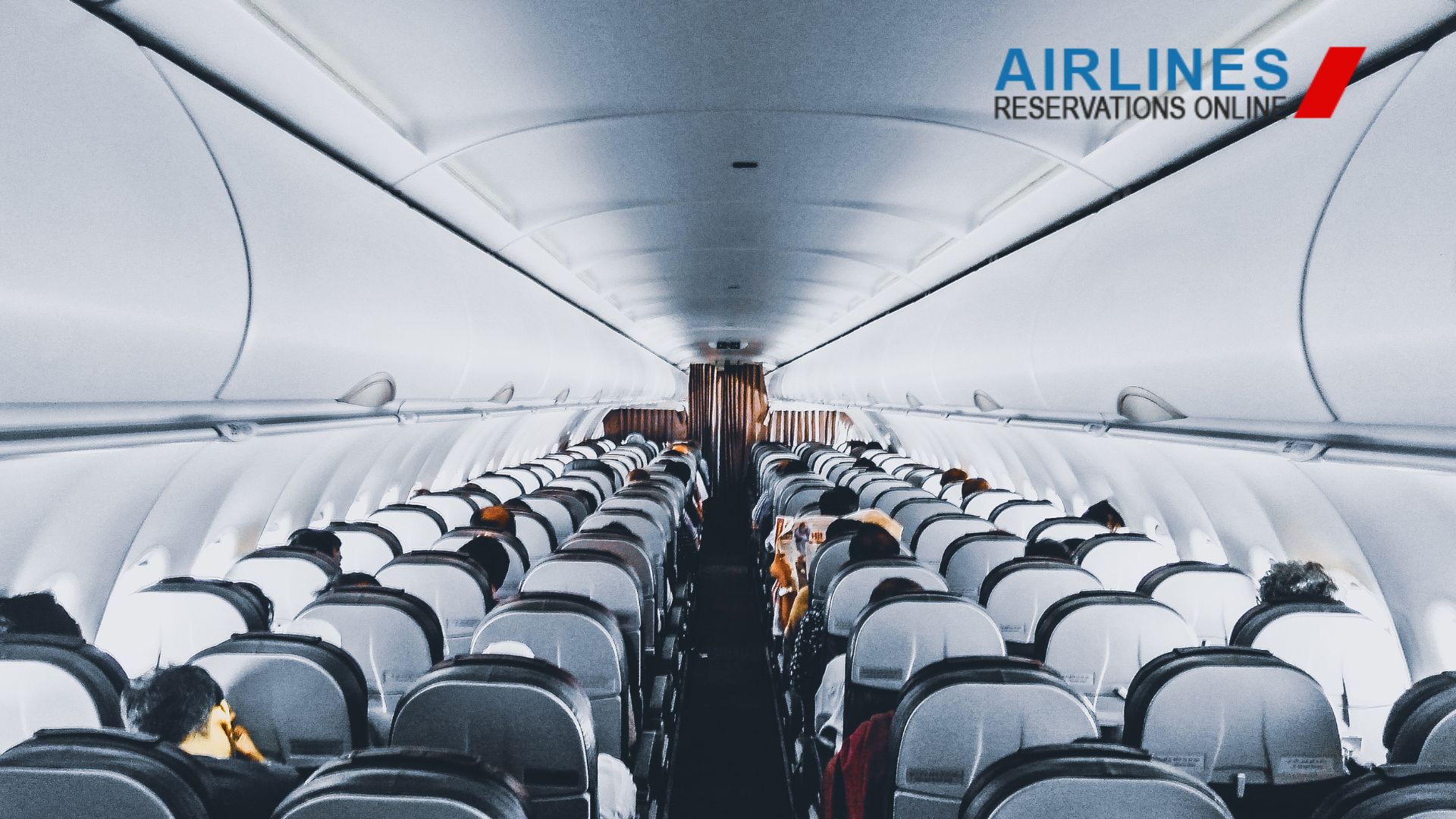 A Complete Guide to Choosing the Right Cabin Class on a Flight