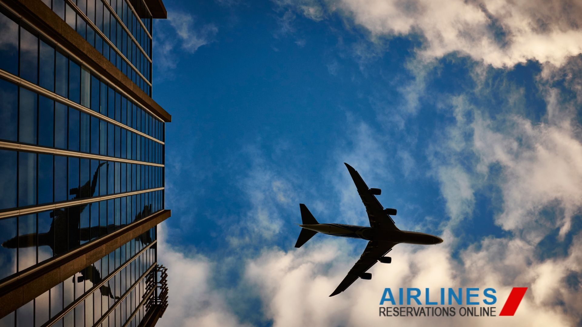 Flying from the US to Dubai? Don’t Book Until You Read This Ultimate Travel Guide